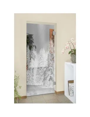 Pendeltür Winterwald Gelasert Auf Klarglas