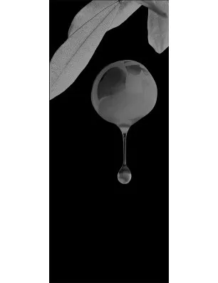 Pendeltür Olive Gelasert Auf Grauglas