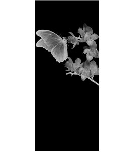 Pendeltür Butterfly Gelasert Auf Grauglas
