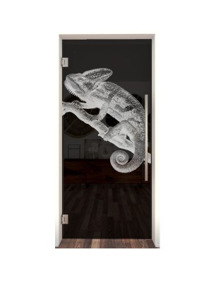 Pendeltür Camelion II Gelasert Auf Grauglas