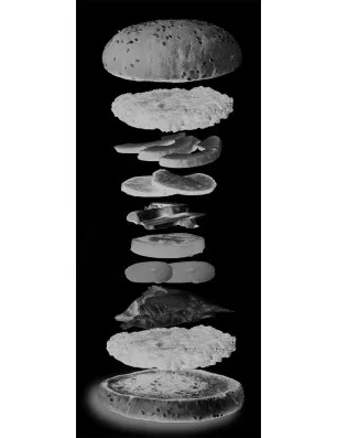 Pendeltür Burger Gelasert Auf Grauglas