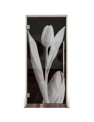 Pendeltür Tulpe Gelasert Auf Grauglas