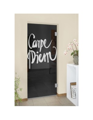 Pendeltür Carpe Diem Gelasert Auf Grauglas