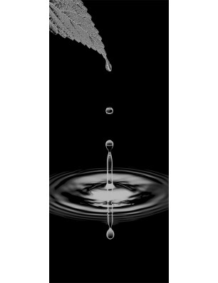 Glasschiebetür ECO-LINE Tropfen II Gelasert Auf Klarglas