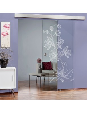 Glasschiebetür ECO-LINE Blume 9 Gelasert Auf Klarglas