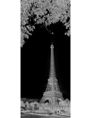Glasschiebetür ECO-LINE Eifelturm 2 Gelasert Auf Klarglas