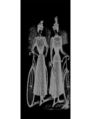 Glasschiebetür ECO-LINE Fahrrad Gelasert Auf Klarglas