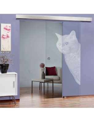 Glasschiebetür ECO-LINE Cats Gelasert Auf Klarglas