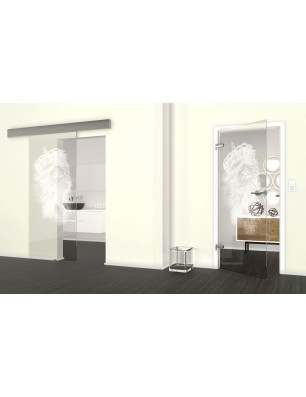 Glasschiebetür ECO-LINE Lionking Gelasert Auf Klarglas