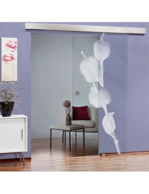 Glasschiebetür ECO-LINE Pflanze Gelasert Auf Klarglas