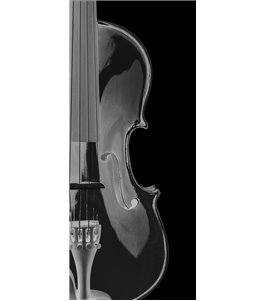 Glasschiebetür ECO-LINE Geige Gelasert Auf Klarglas