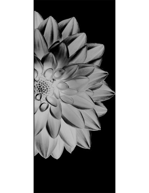 Glasschiebetür ECO-LINE Blume 4 Gelasert Auf Klarglas