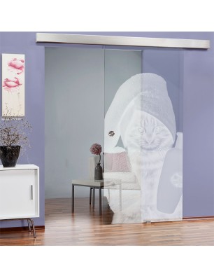 Glasschiebetür ECO-LINE Ready Gelasert Auf Klarglas