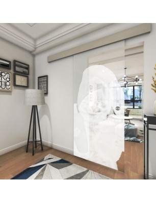 Glasschiebetür ECO-LINE Ready Gelasert Auf Klarglas