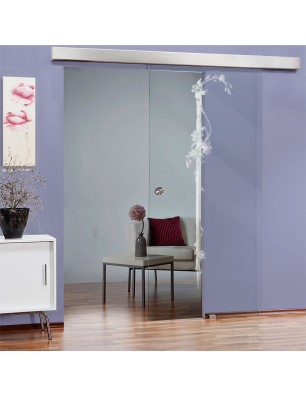 Glasschiebetür ECO-LINE Floral Schwert Gelasert Auf Klarglas