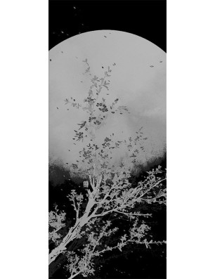 Glasschiebetür ECO-LINE Mond Gelasert Auf Klarglas