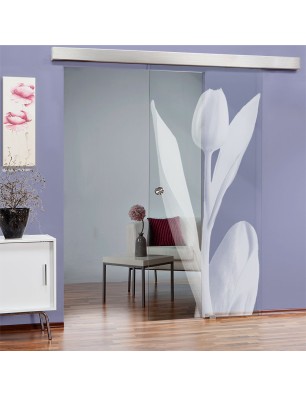 Glasschiebetür ECO-LINE Tulpe Gelasert Auf Klarglas