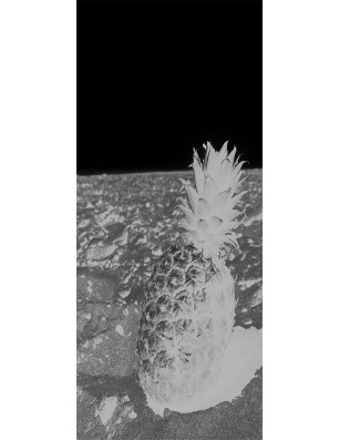Glasschiebetür ECO-LINE Ananas Gelasert Auf Klarglas