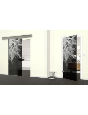 Glasschiebetür ECO-LINE Pusteblume II Gelasert Auf Grauglas