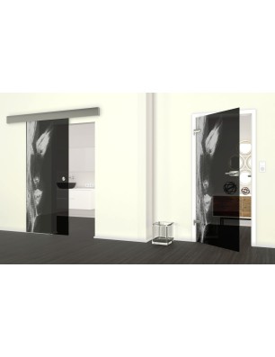 Glasschiebetür ECO-LINE Silhuette Gelasert Auf Grauglas