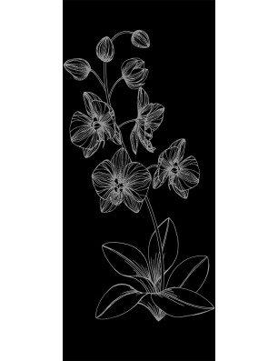 Glasschiebetür ECO-LINE Blume 9 Gelasert Auf Grauglas