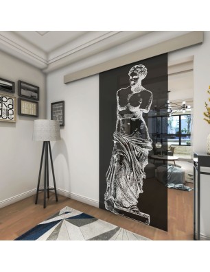 Glasschiebetür ECO-LINE Venus Gelasert Auf Grauglas