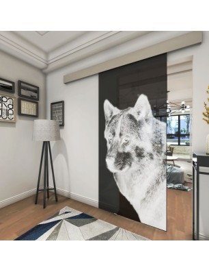 Glasschiebetür ECO-LINE Wolf 5 Gelasert Auf Grauglas