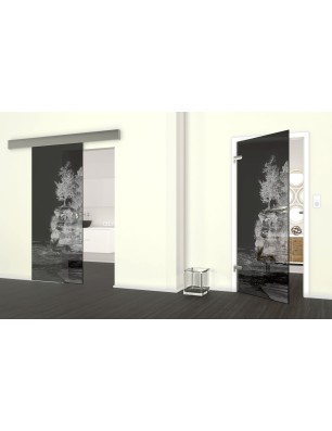 Glasschiebetür ECO-LINE Klippe II Gelasert Auf Grauglas