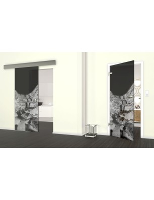 Glasschiebetür ECO-LINE Wasserfall Gelasert Auf Grauglas