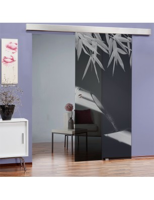 Glasschiebetür ECO-LINE Wellness 3 Gelasert Auf Grauglas