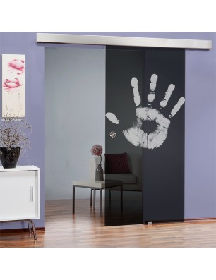 Glasschiebetür ECO-LINE Hand Gelasert Auf Grauglas