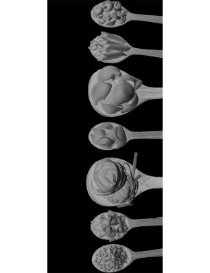 Glasschiebetür ECO-LINE Pasta Gelasert Auf Grauglas