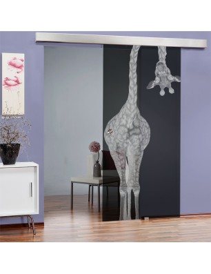Glasschiebetür ECO-LINE Giraffenhals Gelasert Auf Grauglas