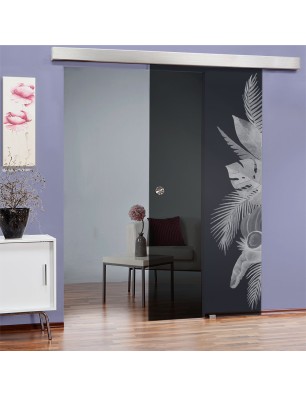 Glasschiebetür ECO-LINE Tropical I Gelasert Auf Grauglas