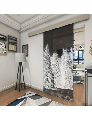 Glasschiebetür ECO-LINE Winterwald Gelasert Auf Grauglas