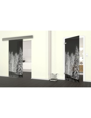 Glasschiebetür ECO-LINE Winterwald Gelasert Auf Grauglas