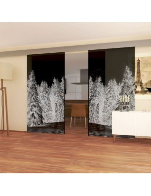 Glasschiebetür ECO-LINE Winterwald Gelasert Auf Grauglas