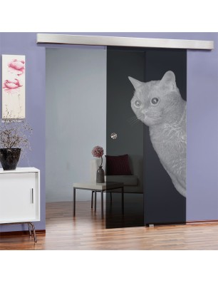 Glasschiebetür ECO-LINE Cats Gelasert Auf Grauglas