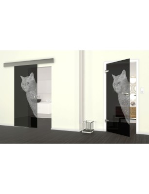 Glasschiebetür ECO-LINE Cats Gelasert Auf Grauglas