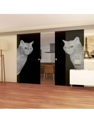 Glasschiebetür ECO-LINE Cats Gelasert Auf Grauglas