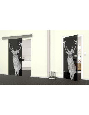 Glasschiebetür ECO-LINE Widder Gelasert Auf Grauglas