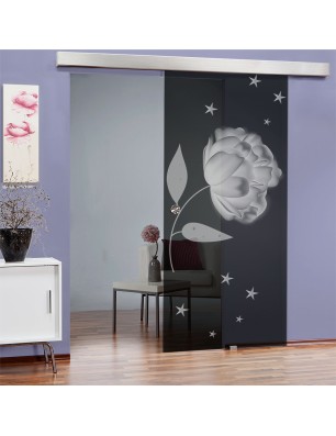 Glasschiebetür ECO-LINE Blume Gelasert Auf Grauglas