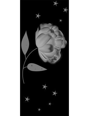 Glasschiebetür ECO-LINE Blume Gelasert Auf Grauglas