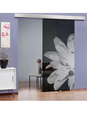 Glasschiebetür ECO-LINE Blume 2 Gelasert Auf Grauglas