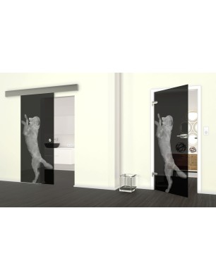 Glasschiebetür ECO-LINE Golden Gelasert Auf Grauglas
