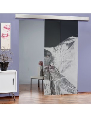 Glasschiebetür ECO-LINE Dreaming Kitty Gelasert Auf Grauglas