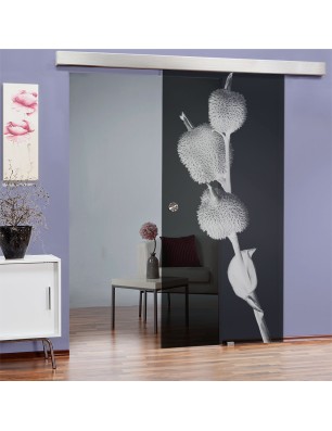 Glasschiebetür ECO-LINE Pflanze Gelasert Auf Grauglas