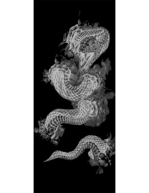 Glasschiebetür ECO-LINE Dragon Gelasert Auf Grauglas