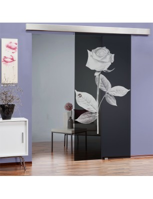 Glasschiebetür ECO-LINE Rose I Gelasert Auf Grauglas