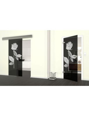 Glasschiebetür ECO-LINE Rose I Gelasert Auf Grauglas